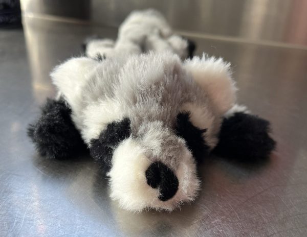 Flat Out 'Roadkill' Dog Chew Toys - Image 2