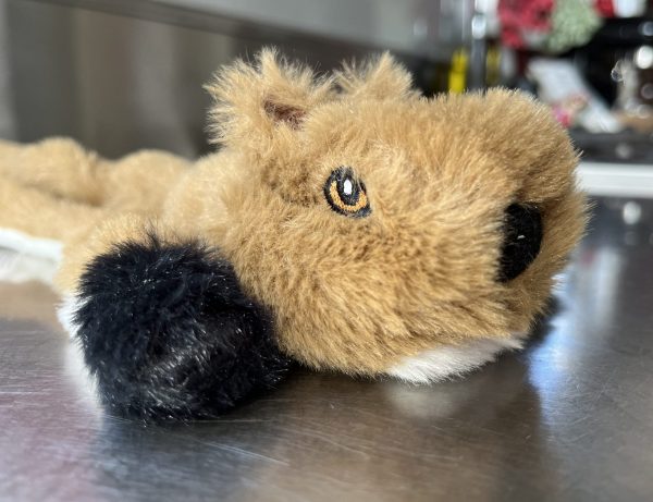 Flat Out 'Roadkill' Dog Chew Toys - Image 5