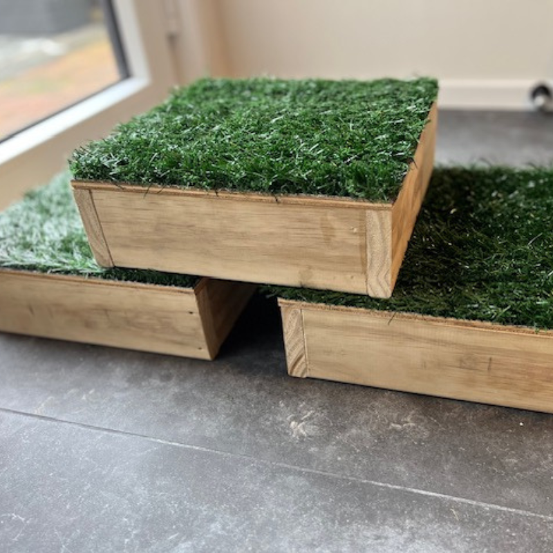 Dog Training Platform