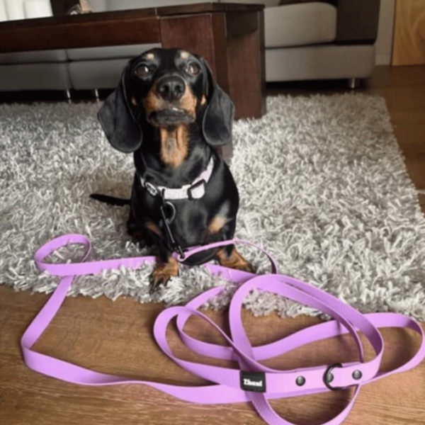 Zhani REGULAR Width Lead - 5m - Image 21