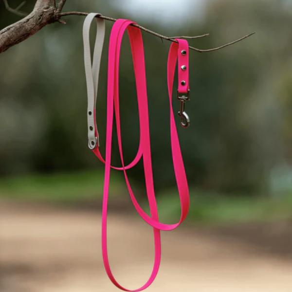 Zhani REGULAR Width Lead - 5m - Image 12