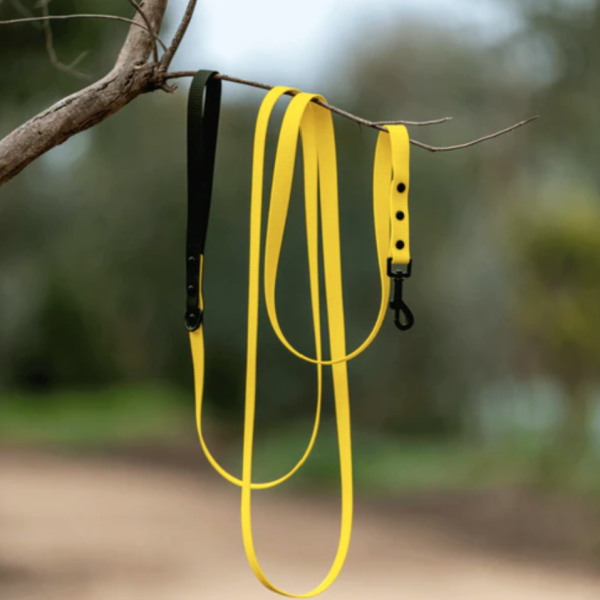 Zhani REGULAR Width Lead - 5m - Image 9