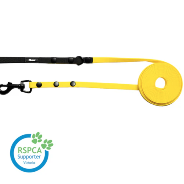 Zhani MINI Width Lead - 3m - Image 10