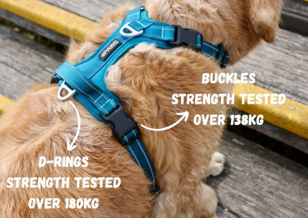 Adventure Harness 2.0 - Image 9