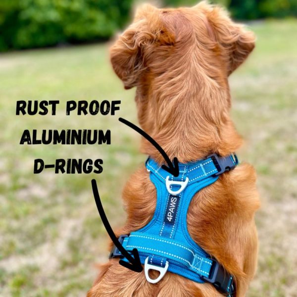 Adventure Harness 2.0 - Image 8