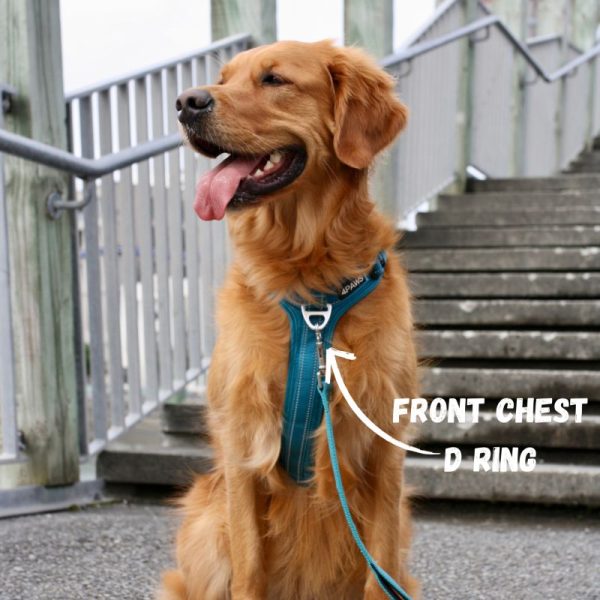 Adventure Harness 2.0 - Image 7