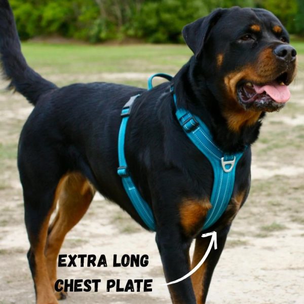 Adventure Harness 2.0 - Image 11